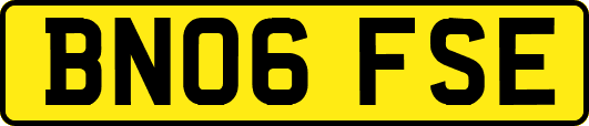 BN06FSE