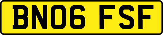 BN06FSF