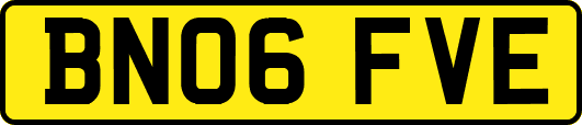 BN06FVE
