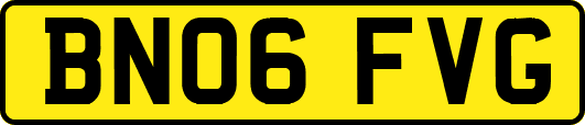 BN06FVG