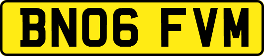 BN06FVM
