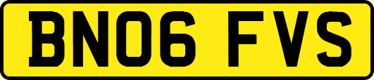BN06FVS
