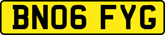 BN06FYG