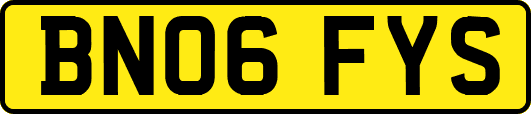 BN06FYS