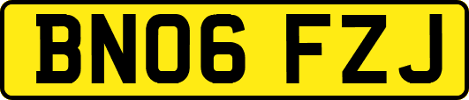 BN06FZJ