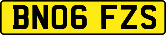 BN06FZS