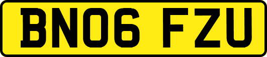 BN06FZU