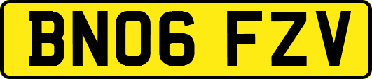 BN06FZV