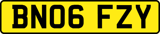 BN06FZY