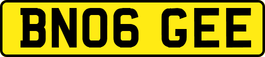 BN06GEE