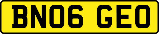 BN06GEO