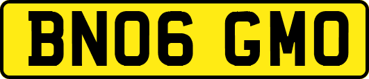 BN06GMO