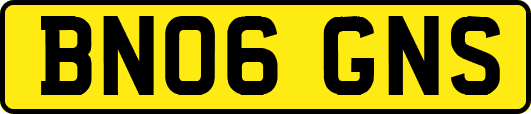 BN06GNS