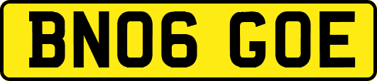 BN06GOE