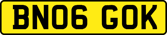 BN06GOK