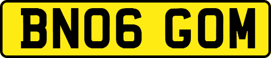 BN06GOM