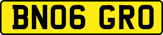 BN06GRO