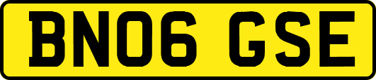 BN06GSE