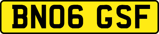 BN06GSF