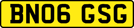 BN06GSG