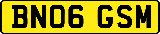 BN06GSM
