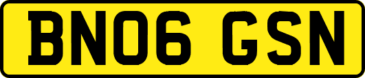 BN06GSN