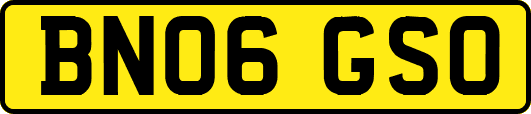 BN06GSO