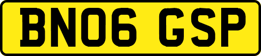 BN06GSP