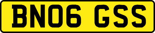 BN06GSS