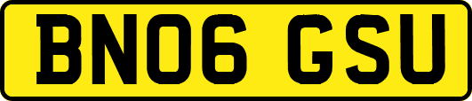 BN06GSU