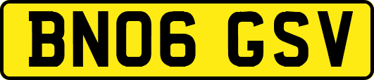 BN06GSV