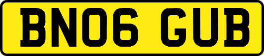 BN06GUB
