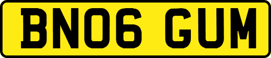 BN06GUM