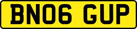 BN06GUP