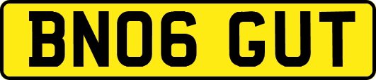 BN06GUT