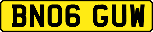 BN06GUW