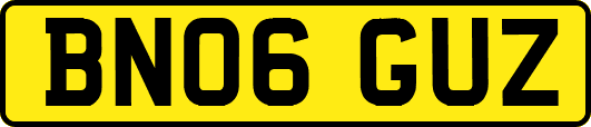 BN06GUZ