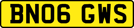 BN06GWS