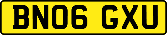 BN06GXU