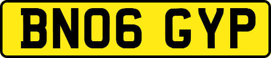 BN06GYP