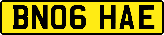 BN06HAE