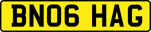 BN06HAG