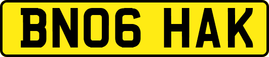 BN06HAK