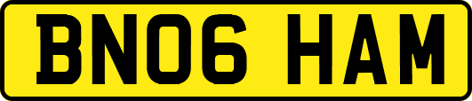 BN06HAM