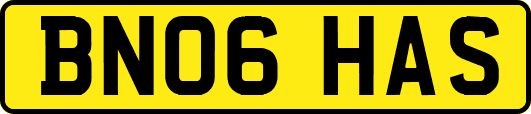 BN06HAS