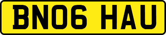 BN06HAU
