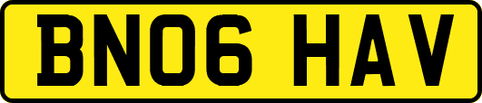 BN06HAV