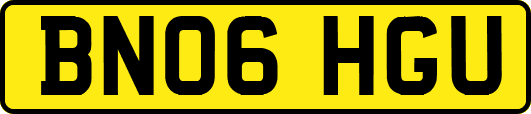 BN06HGU