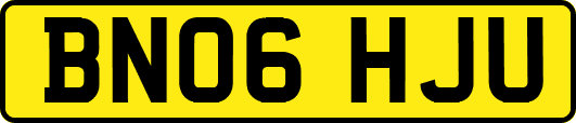 BN06HJU