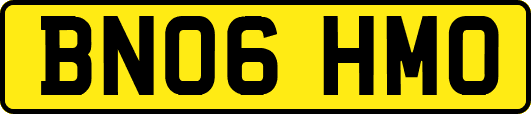 BN06HMO